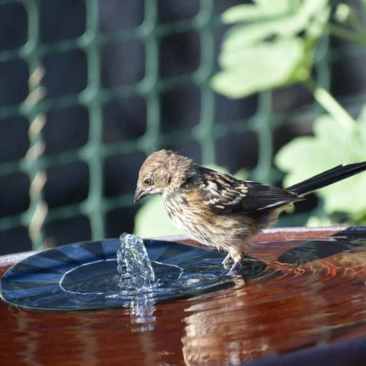 Solar_Schwimmbrunnenpumpe_Kabellos_fur_Teiche_Garten_Schalen_3